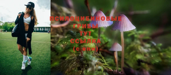 ПСИЛОЦИБИНОВЫЕ ГРИБЫ Кулебаки