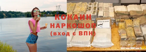 ПСИЛОЦИБИНОВЫЕ ГРИБЫ Кулебаки