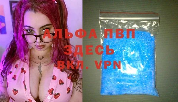 ПСИЛОЦИБИНОВЫЕ ГРИБЫ Кулебаки