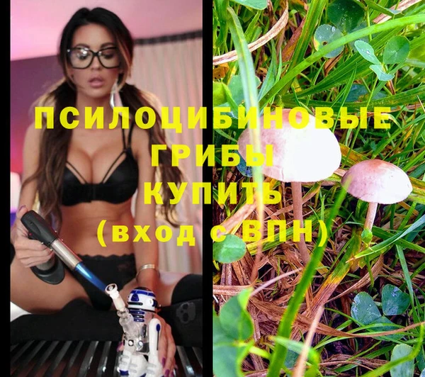 ПСИЛОЦИБИНОВЫЕ ГРИБЫ Кулебаки