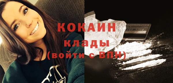 ПСИЛОЦИБИНОВЫЕ ГРИБЫ Кулебаки