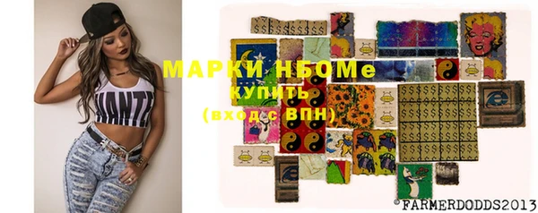 ПСИЛОЦИБИНОВЫЕ ГРИБЫ Кулебаки