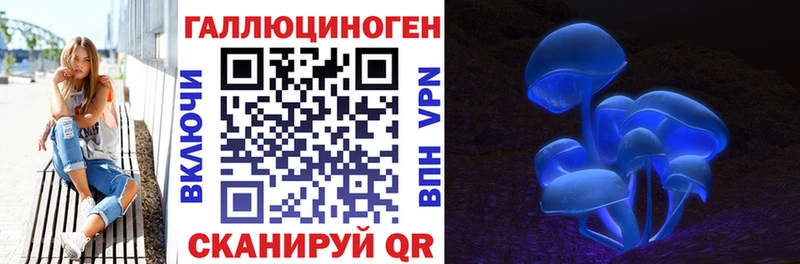 Купить где  Гай  Галлюциногенные грибы прущие грибы 