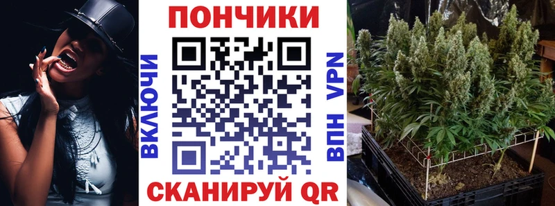 Купить где  Гай  Марихуана OG Kush 